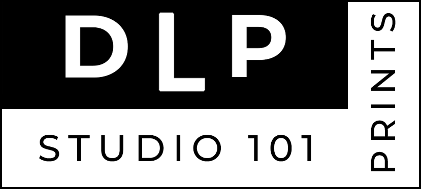 DLP Print Store
